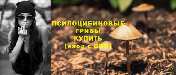 ГАЛЛЮЦИНОГЕННЫЕ ГРИБЫ Гусь-Хрустальный