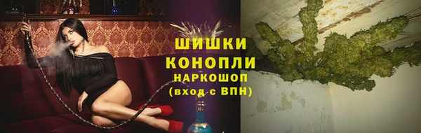 гидропоника Гусиноозёрск