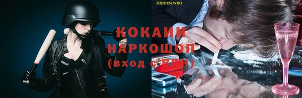гидропоника Гусиноозёрск