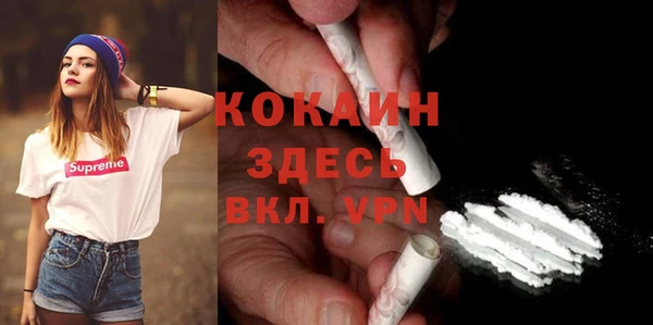 гидропоника Гусиноозёрск