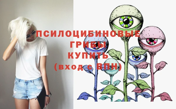 гидропоника Гусиноозёрск