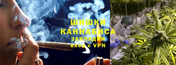 ГАЛЛЮЦИНОГЕННЫЕ ГРИБЫ Гусь-Хрустальный