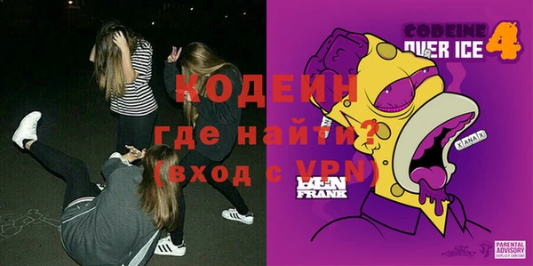ГАЛЛЮЦИНОГЕННЫЕ ГРИБЫ Гусь-Хрустальный