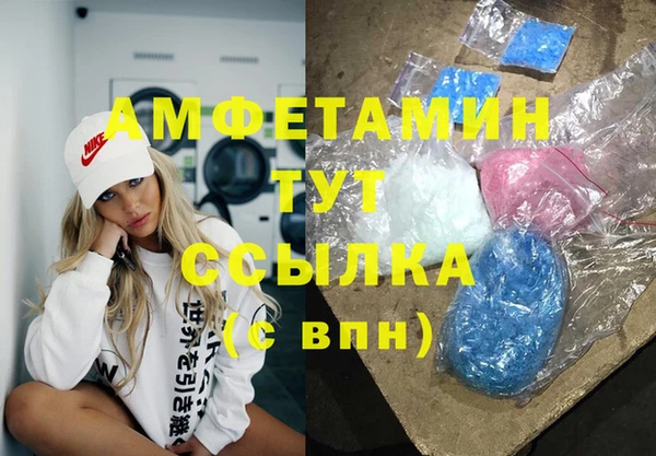 ГАЛЛЮЦИНОГЕННЫЕ ГРИБЫ Гусь-Хрустальный