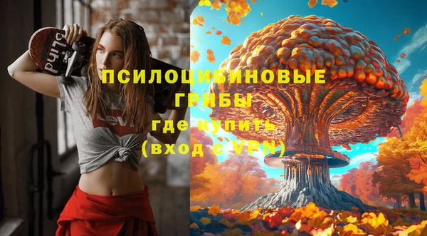 ALPHA-PVP Гусев
